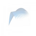 Slanted Fan Jet Slanted Fan Jet
