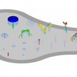 Sample Water Park 4