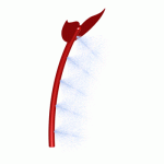 Whale Tail Whale Tail