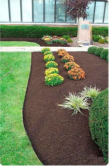 rubber-mulch