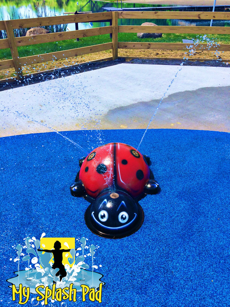 My Splash Pad Ladybug water play Lady Bug feature YMCA water park splashpad installer OH IN IL MI KY NY PA equipment manufacturer
