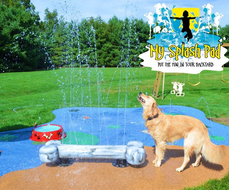 My Splash Pad Dog water park Ohio spray pads splashpad