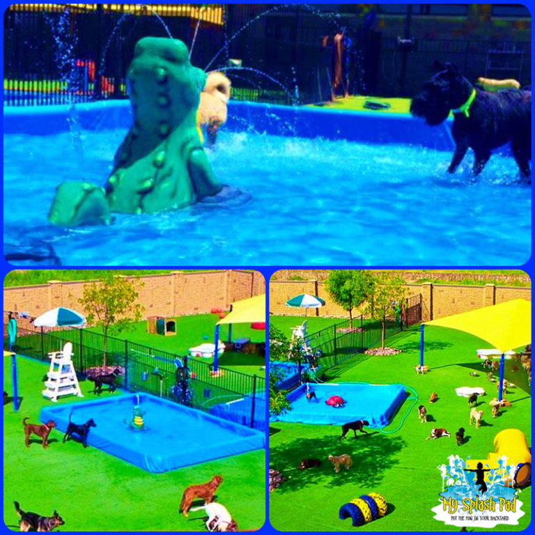 Dog Bowl Portable Water Play Features for Your Splash Pad