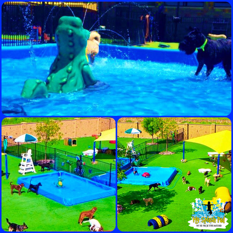 My Splash Pad Dog water park spray daycare dallas texas