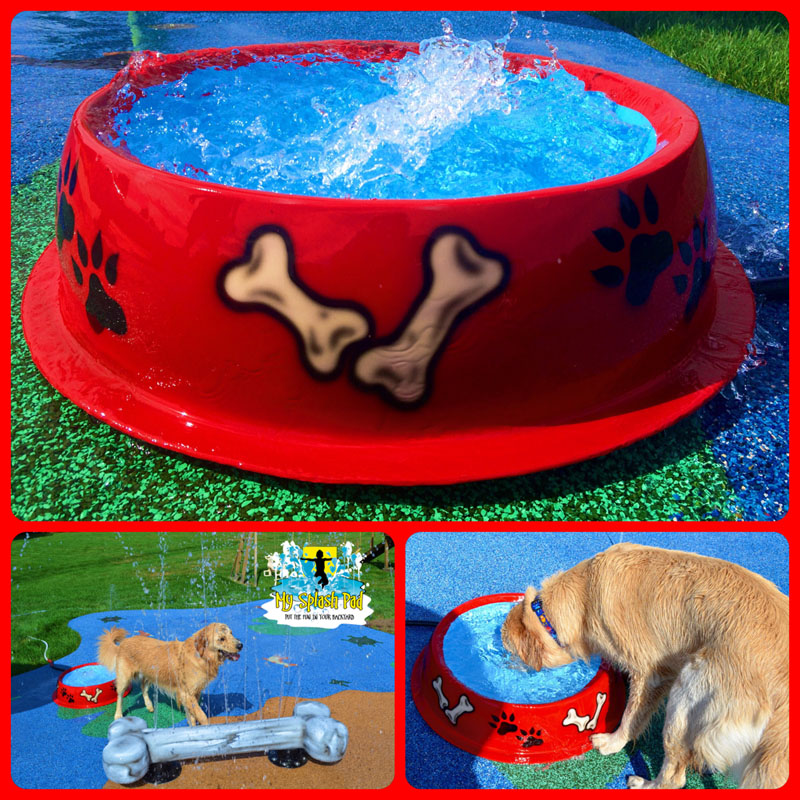 My Splash Pad Dog water park spray ground doggy daycare splashpad pads