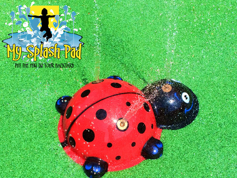 My Splash Pad Ladybug water play above ground feature for splashpad pads splashpads Make A Wish Ohio OH