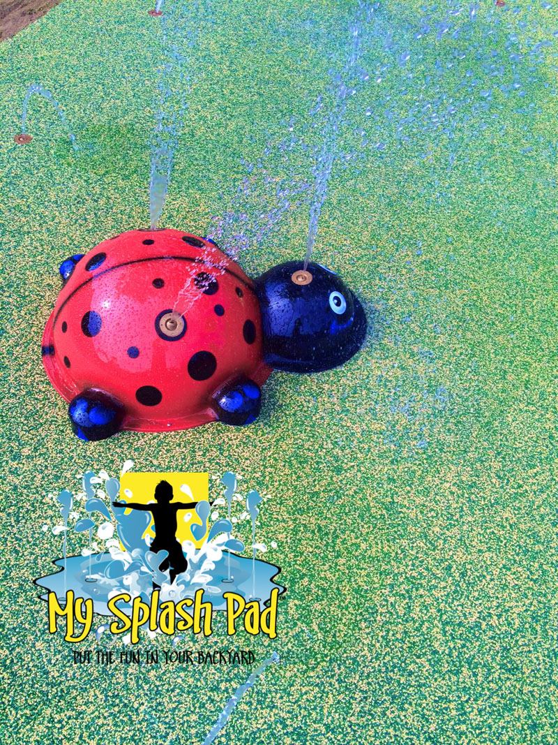 My Splash Pad Ladybug water play above ground feature for spray ground fountain splashpad pads parks park