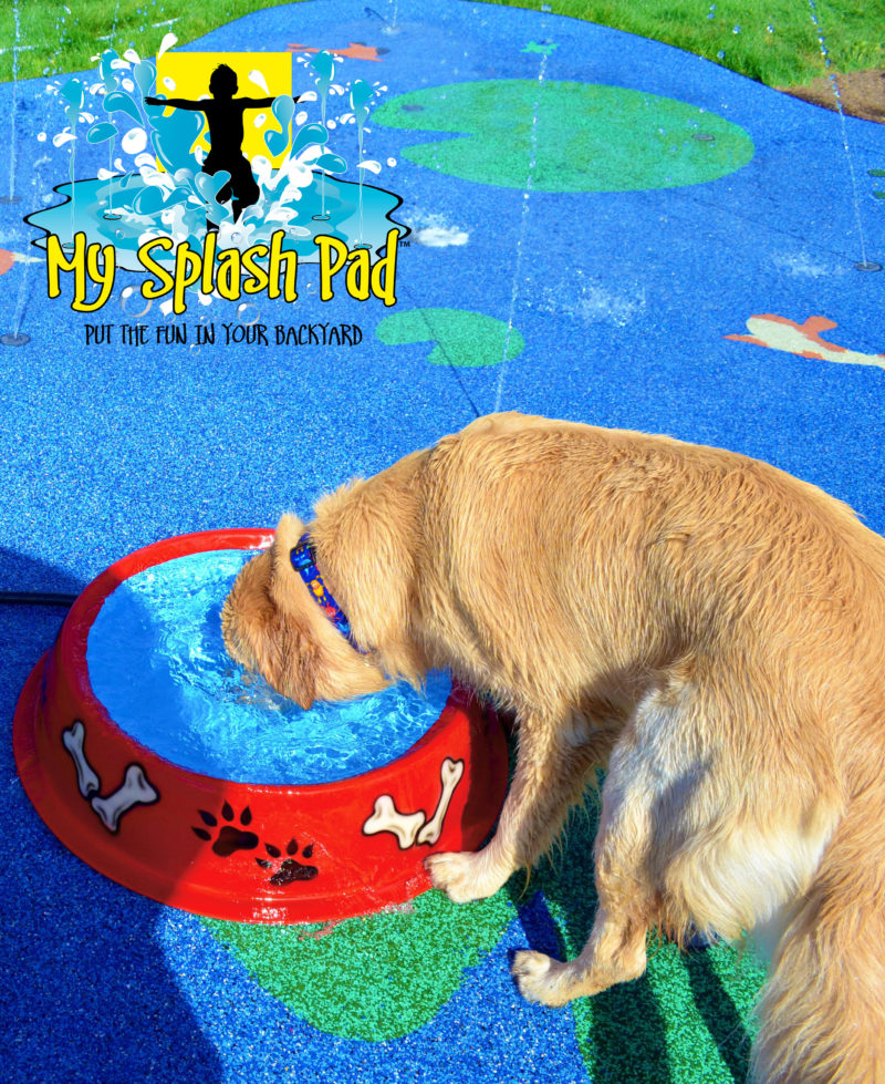 dog proof splash pad