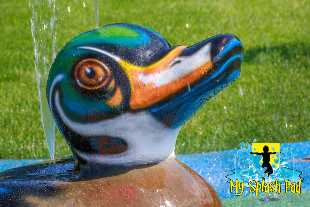 My Splash Pad Duck Water Play Features