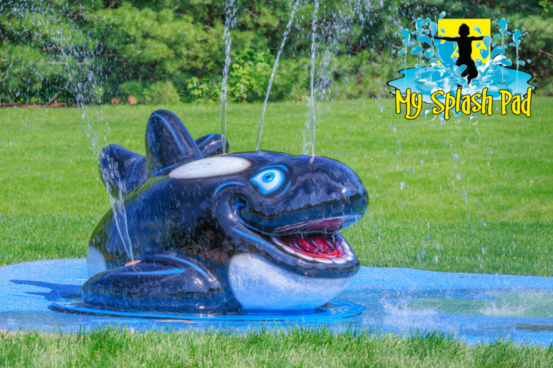 My Splash Pad Orca Water Play Features