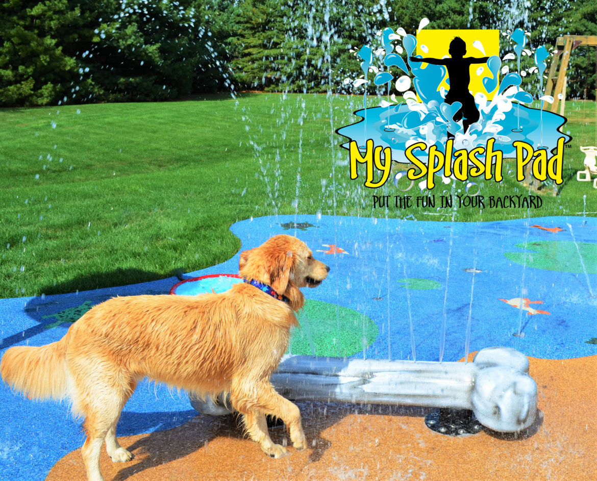 My Splash Pad Dog Bone Water Play Features