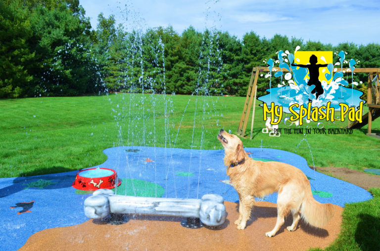My Splash Pad Dog Bone Water Play Features
