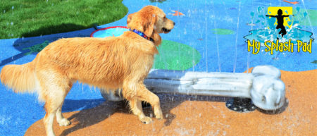 DOG WATER PARK Manufacturer & Installer. DOG-FRIENDLY Features