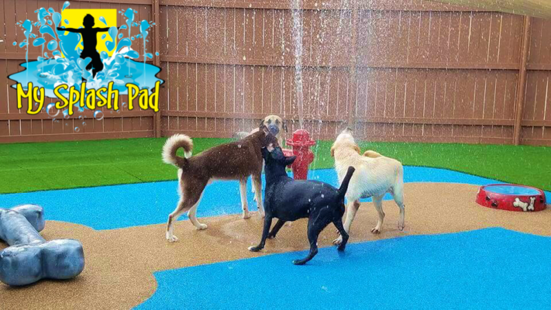 Doggy Water Park Features &  Toys. My Splash Pad Is A Manufacturer & Installer Of Splashpads