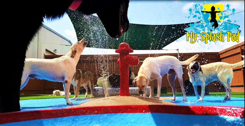 Doggy Water Park Features &  Toys. My Splash Pad Is A Manufacturer & Installer Of Splashpads