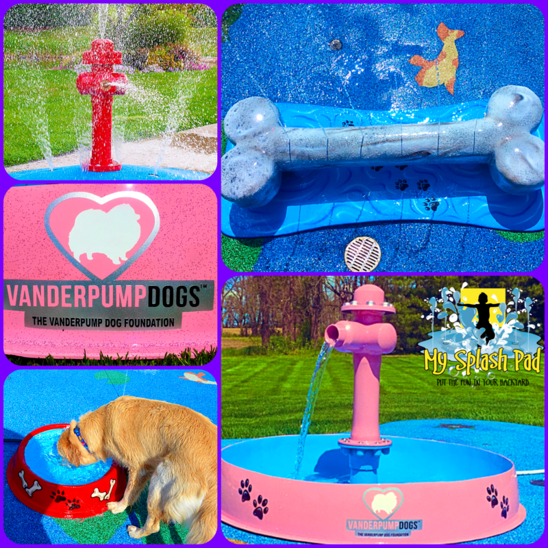 Fire Hydrant Dog Bowl Splashpad Features Manufactured And Installed By My Splash Pad