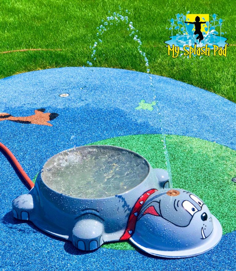 My Splash Pad permanent bulldog water bowl play feature made in USA splashpad manufacturer installer builder