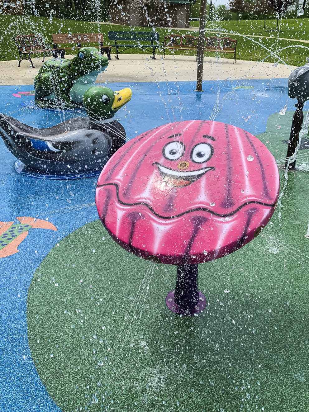 my splash pad clam water play features