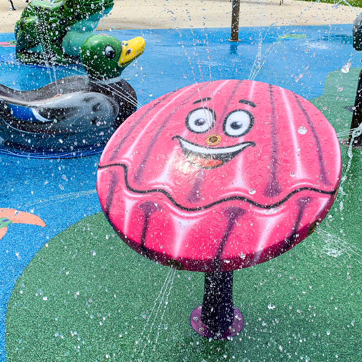 My Splash Pad Clam Water Play Feature