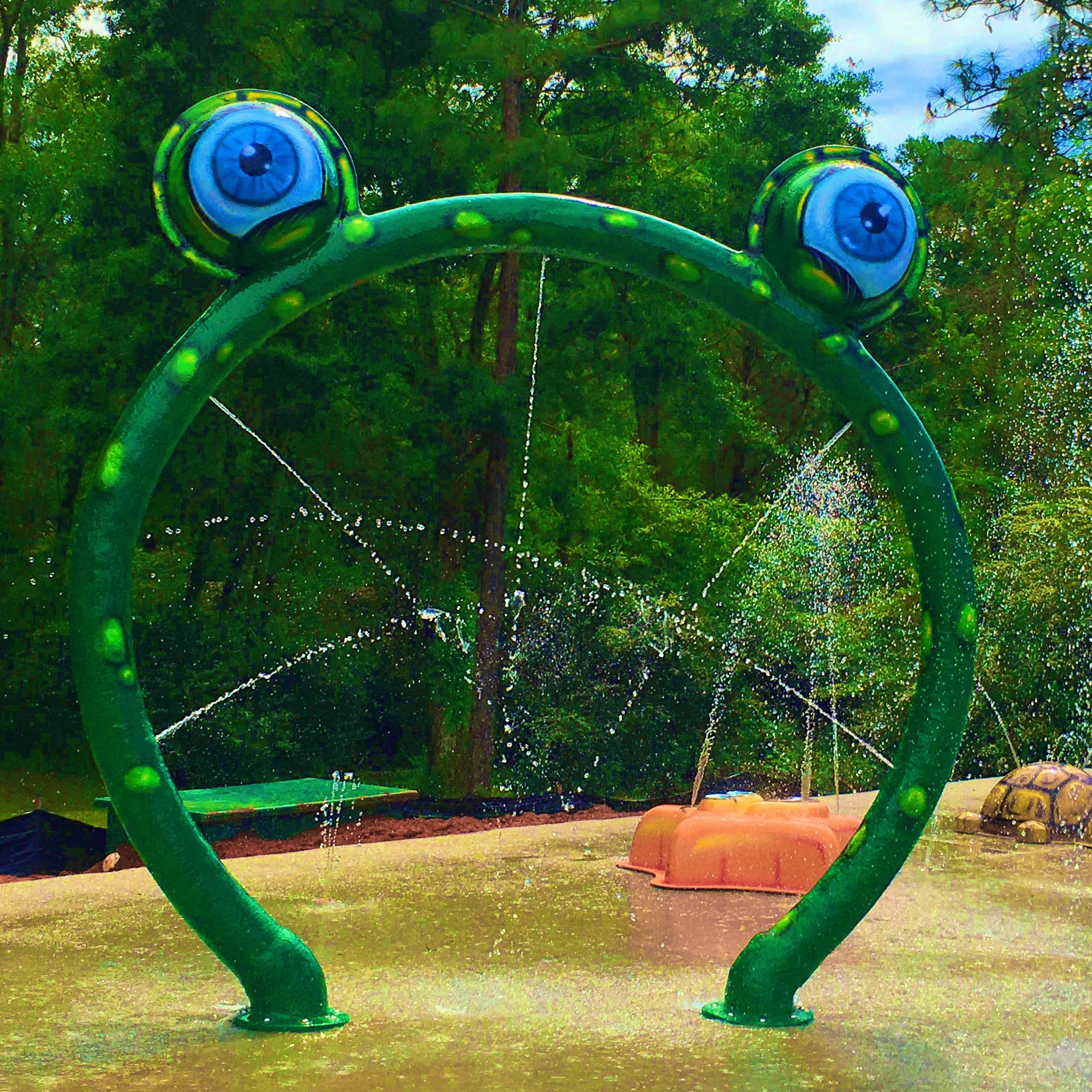 My Splash Pad Frog Hoop Water Play Features
