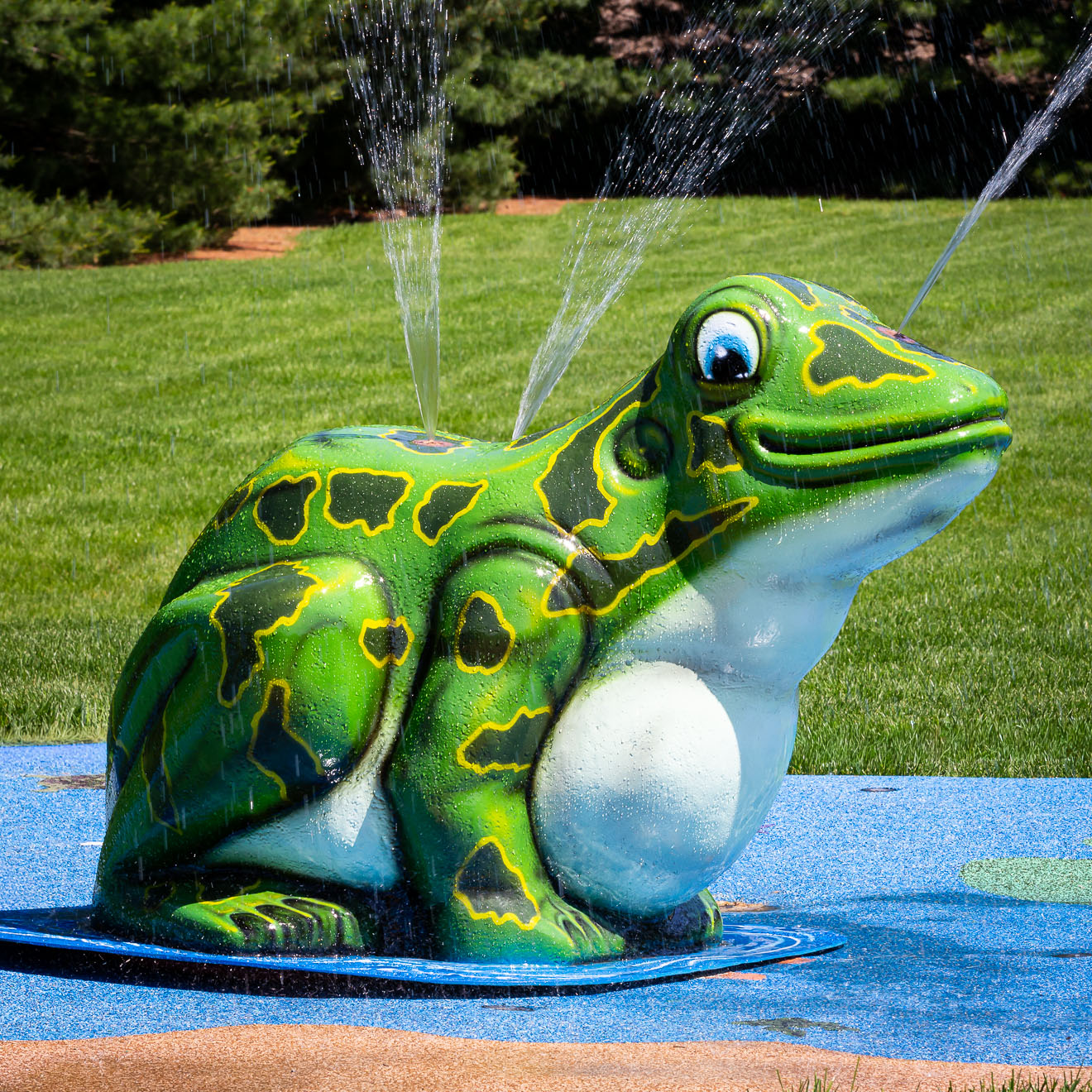My Splash Pad Frog Water Play Features