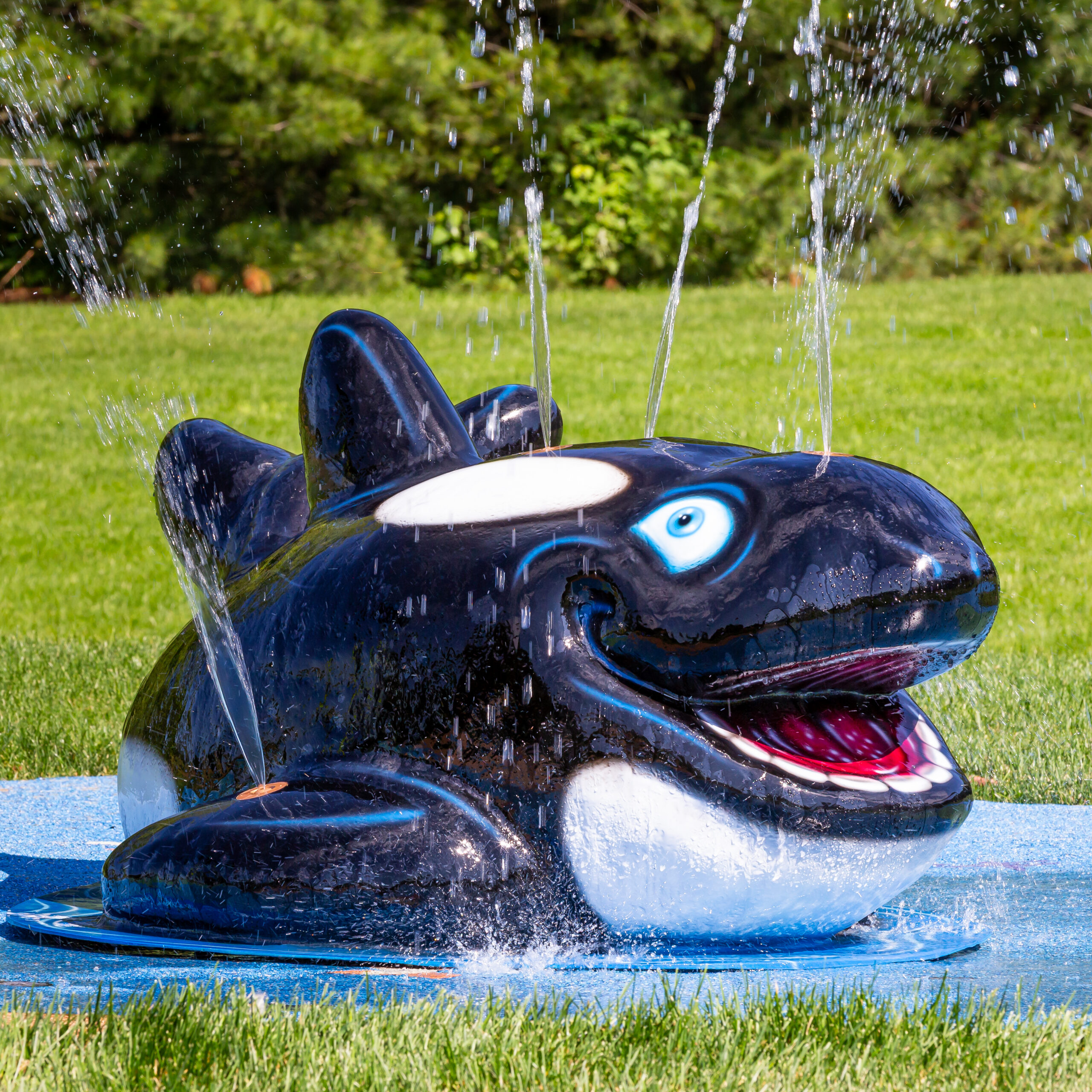 My Splash Pad Orca Water Play Feature