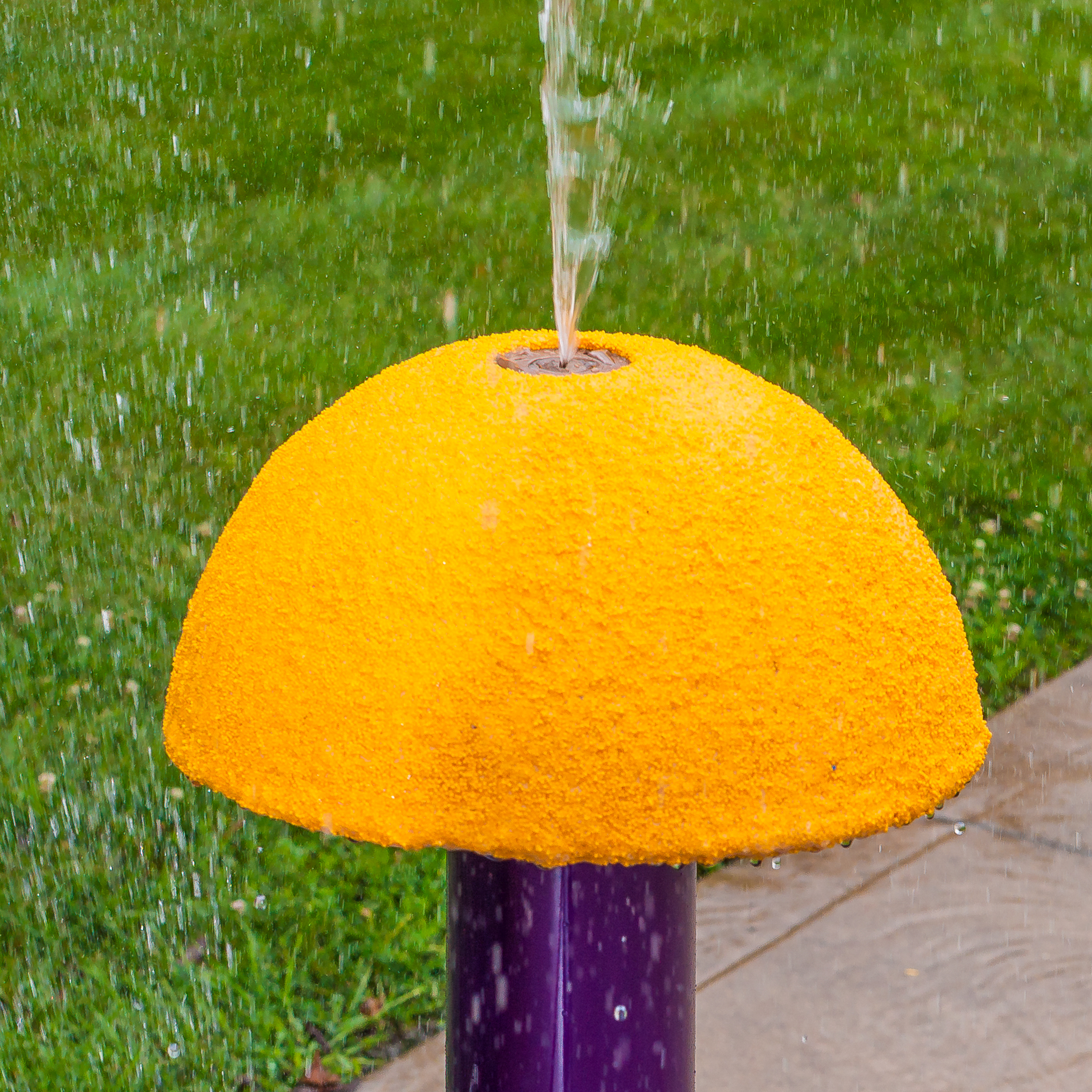 My Splash Pad Sensory Mini Mushroom Water Play Features