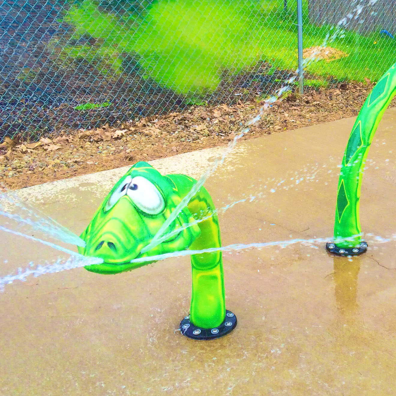 My Splash Pad Snake Water Play Features