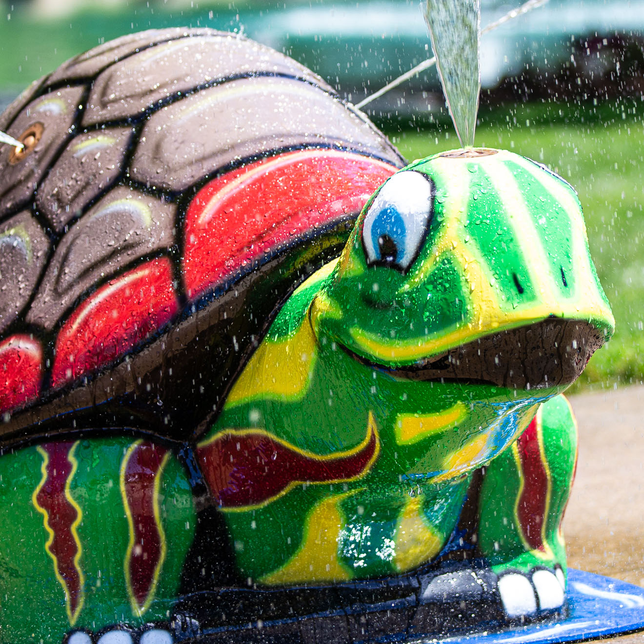 My Splash Pad Turtle Tortoise Water Play Features