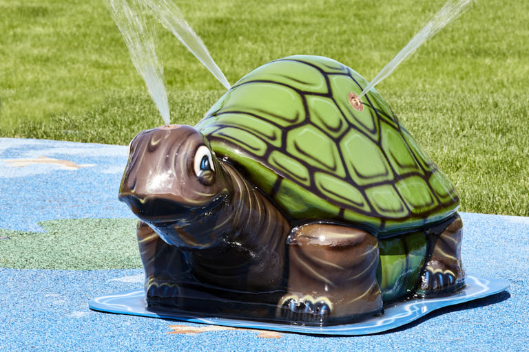 turtle-tortoise-animals-features-my-splash-pad-17-05-30-2213