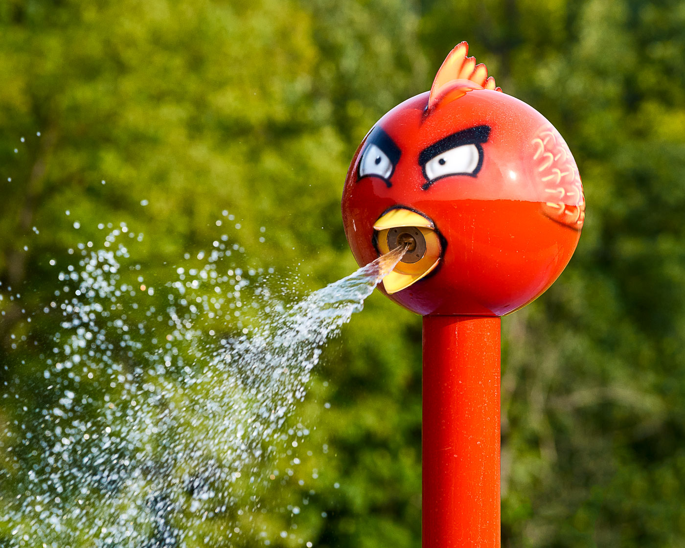 My Splash Pad Birdie Water Play Features