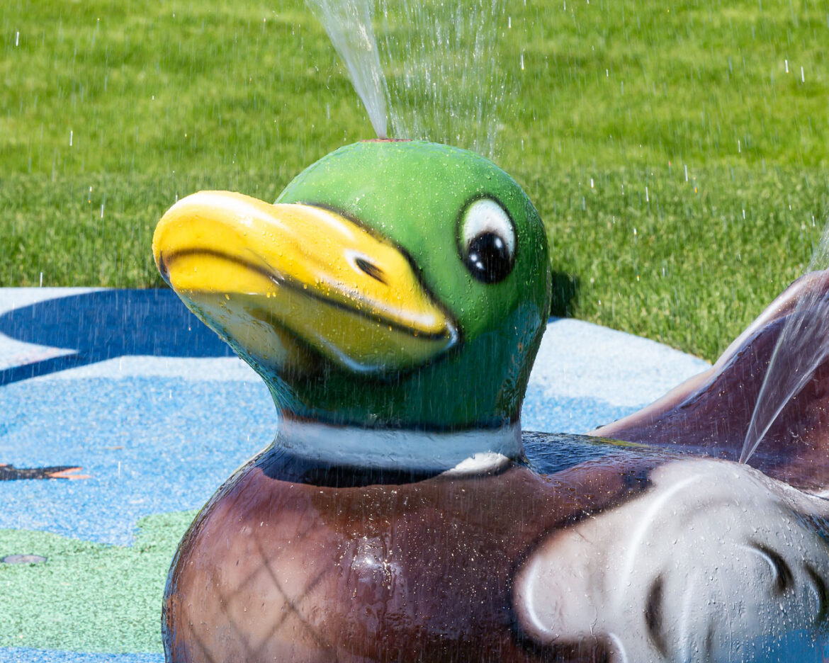 My Splash Pad Duck Water Play Features