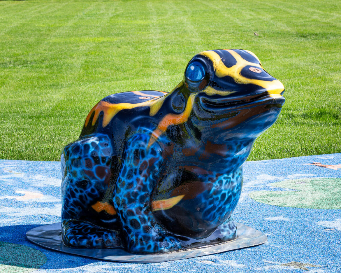 My Splash Pad Frog Water Play Features