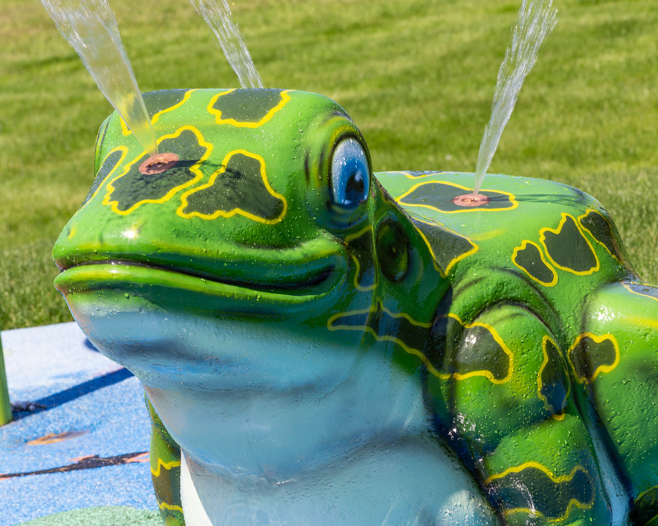 Top Rope Frog Splash Frog Water Play Features by My Splash Pad