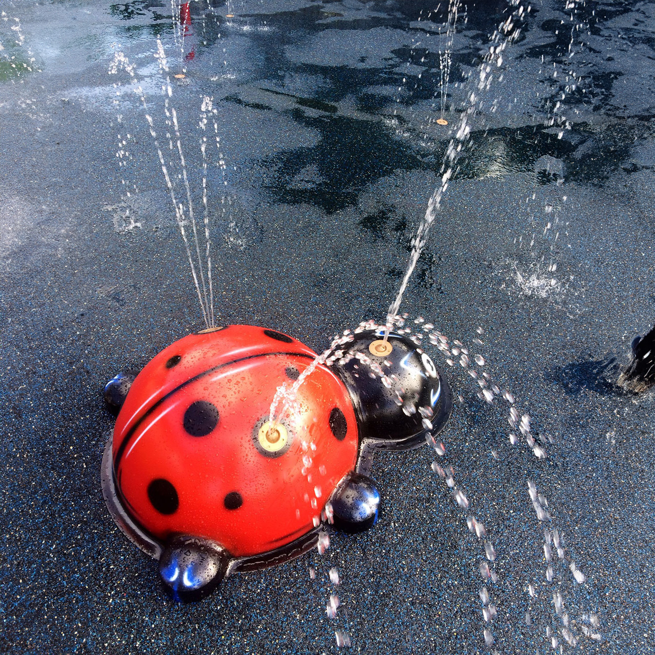 My Splash Pad Ladybug Water Play Features
