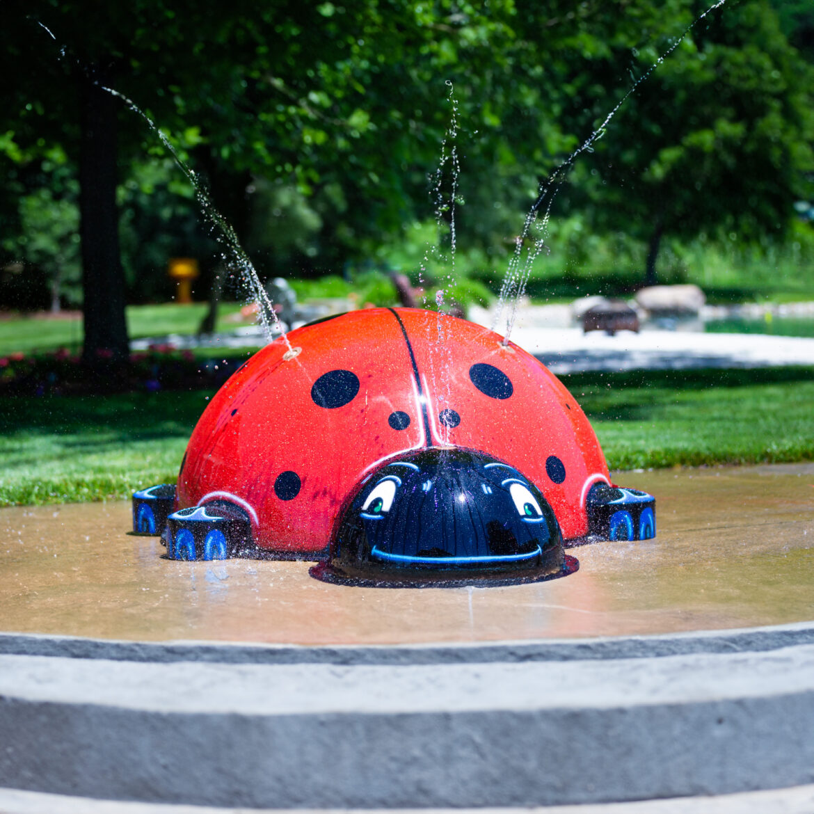 My Splash Pad Large Ladybug Water Play Features