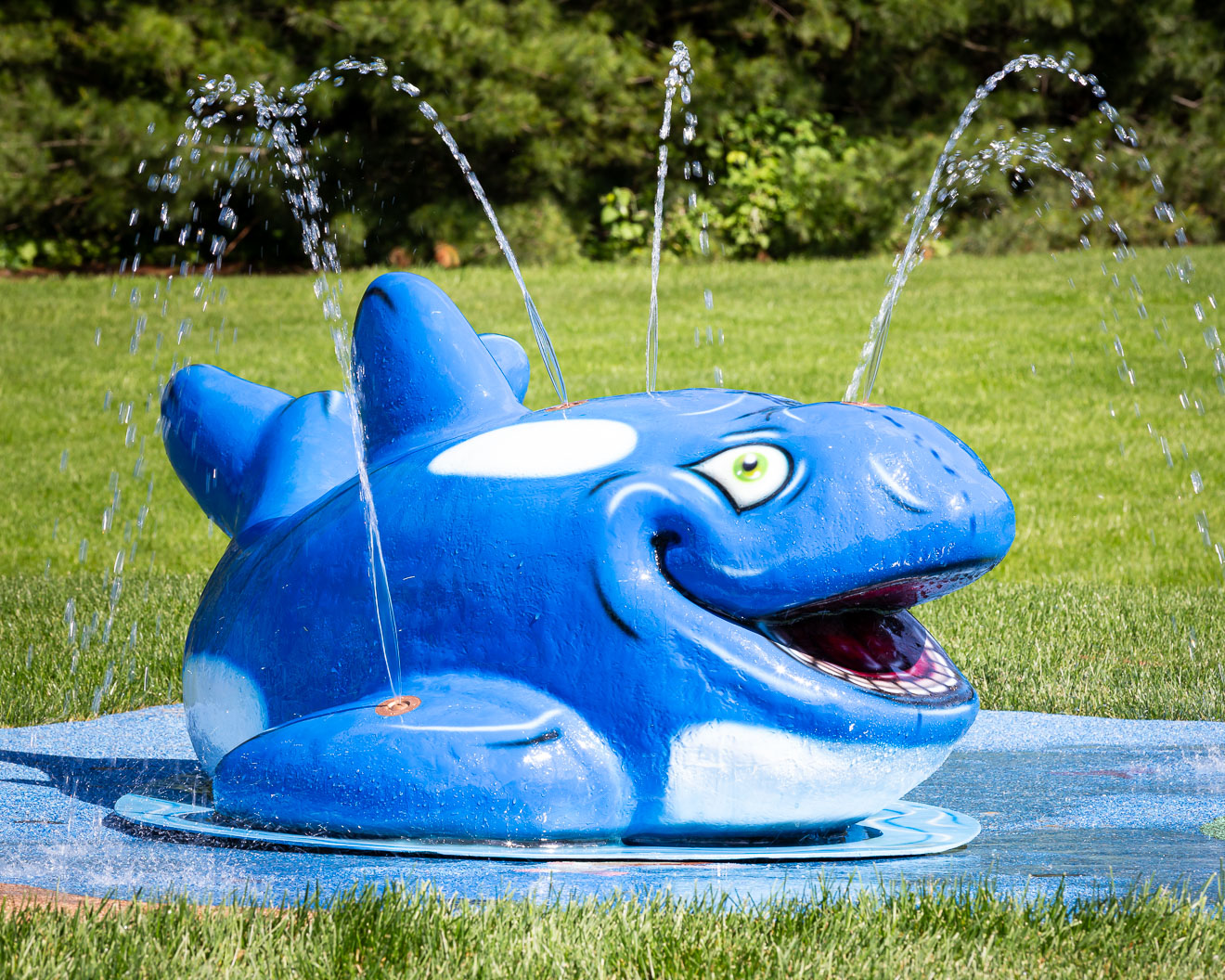 My Splash Pad Orca Water Play Features