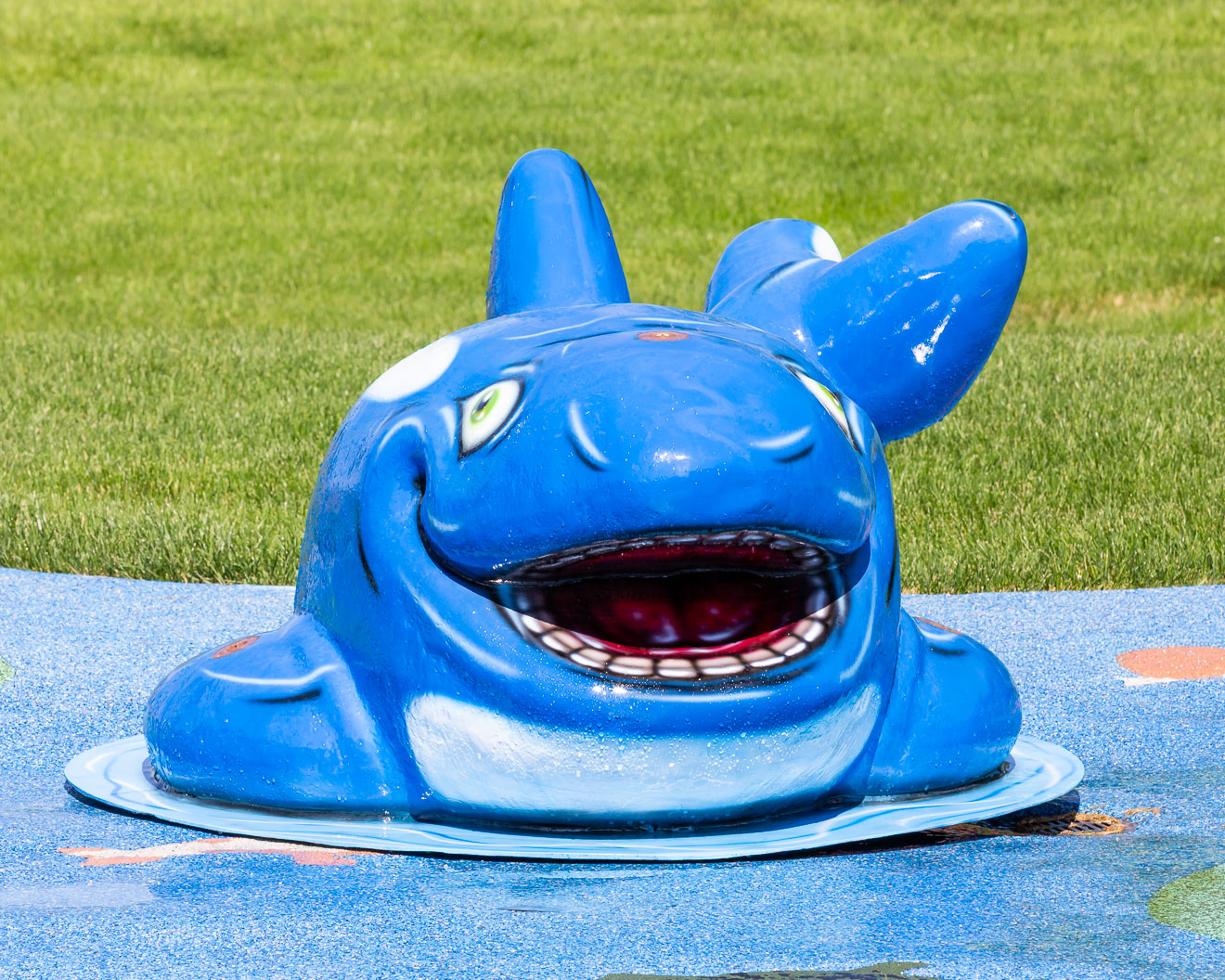 My Splash Pad Orca Water Play Features