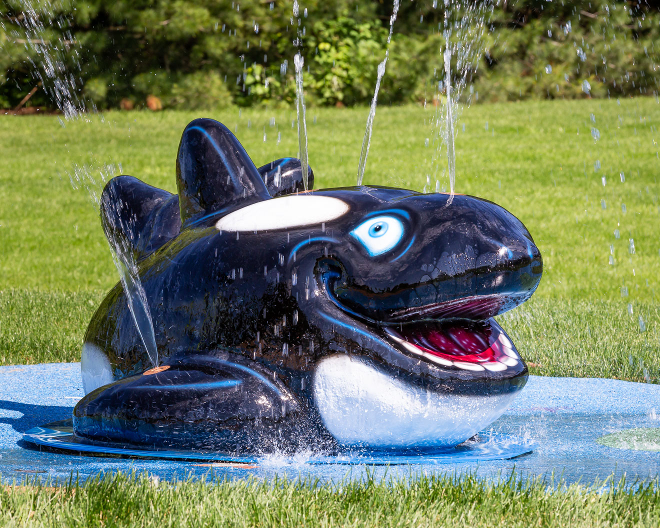 My Splash Pad Orca Water Play Features