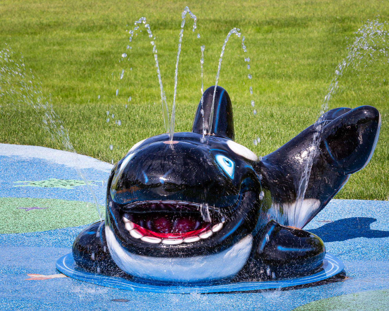 My Splash Pad Orca Water Play Features