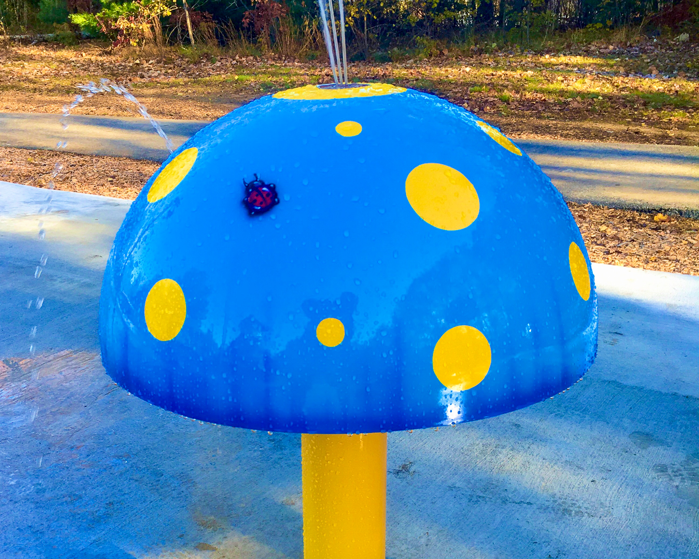 My Splash Pad 24 Mini Mushroom Water Play Features