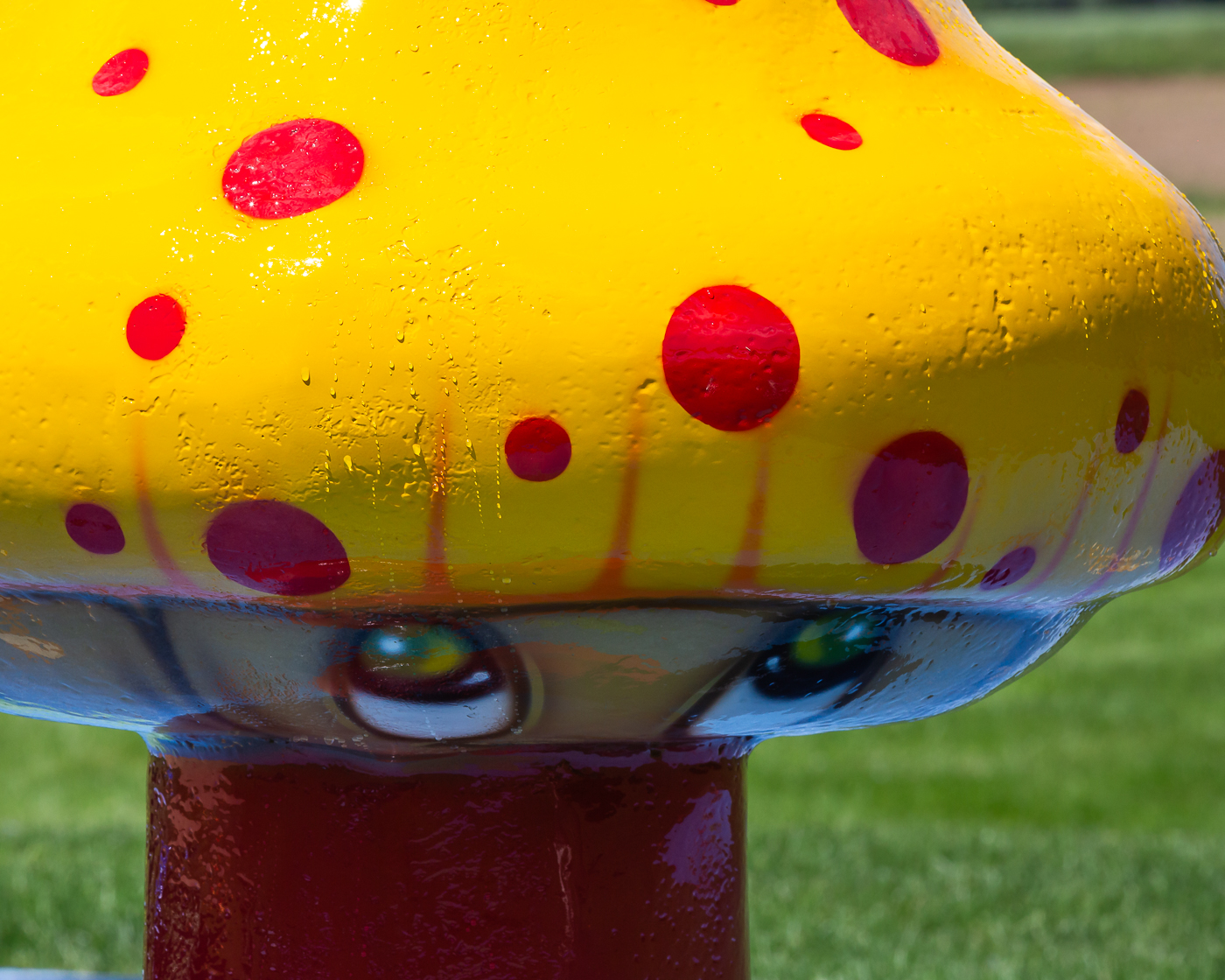 My Splash Pad Artistic Mushroom Water Play Features