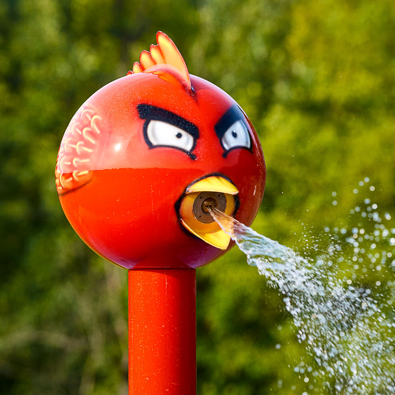 My Splash Pad Birdie Water Play Features