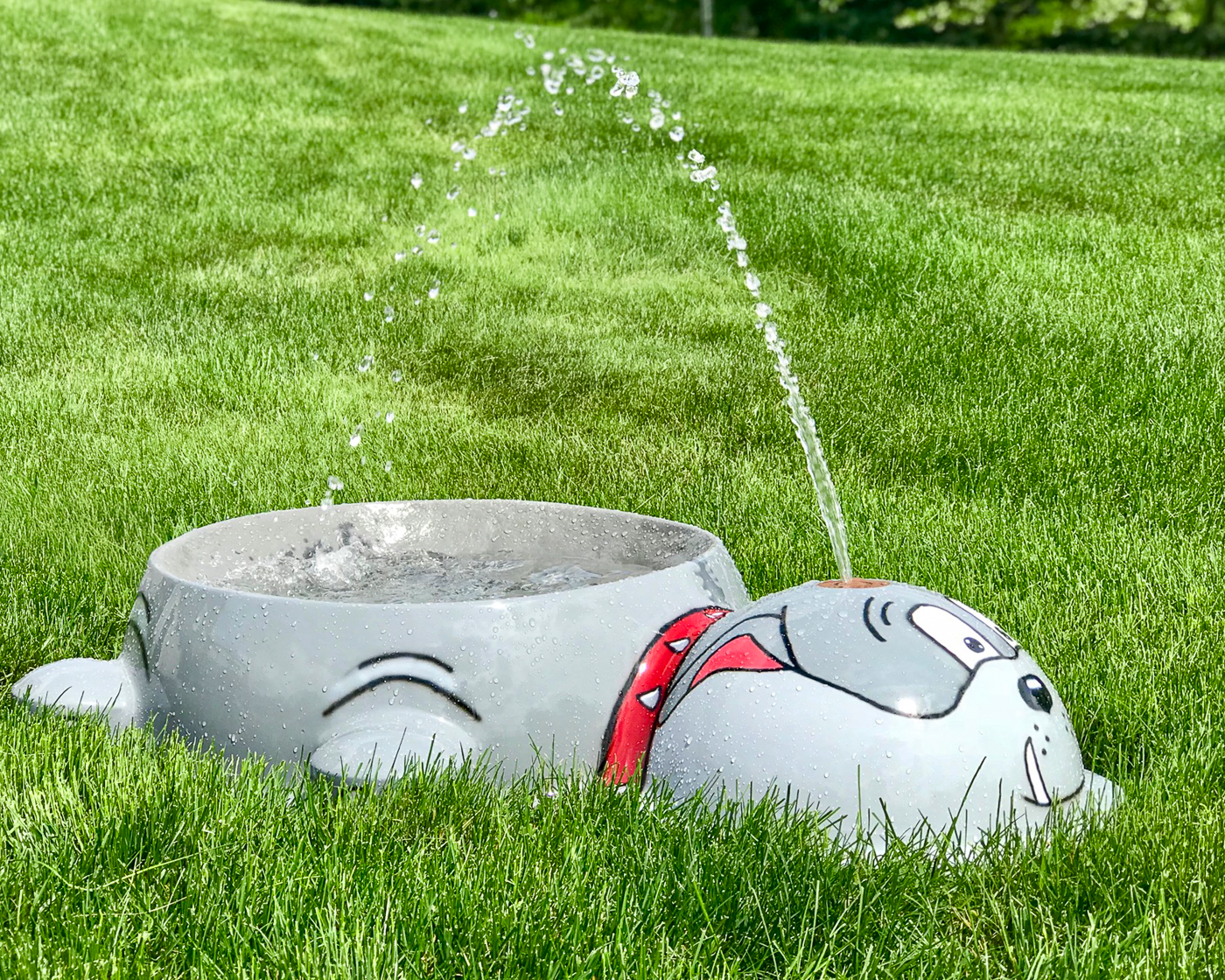 My Splash Pad Bulldog Water Bowl Water Play Features