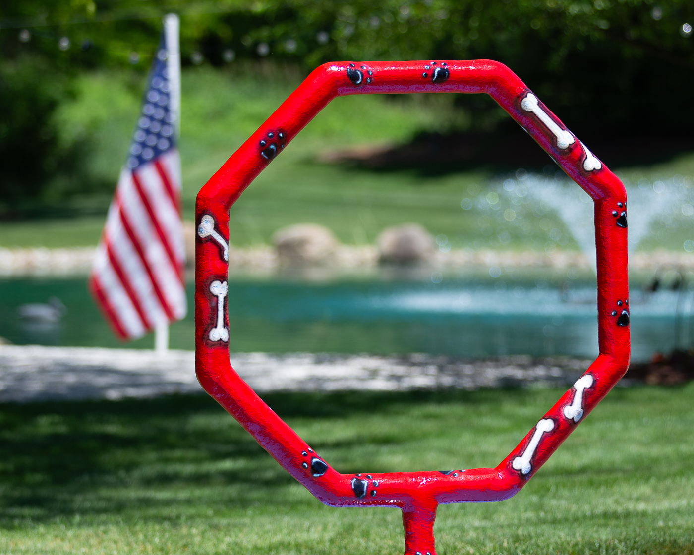My Splash Pad Dog Jump Hoop Water Play Features