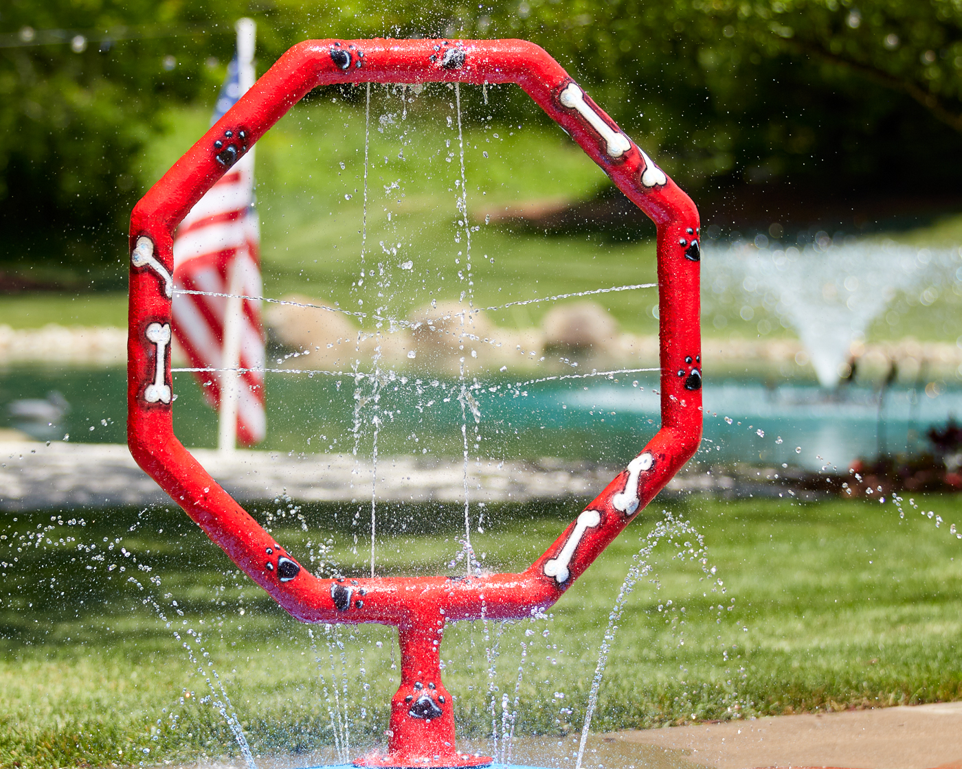 My Splash Pad Dog Jump Hoop Water Play Features