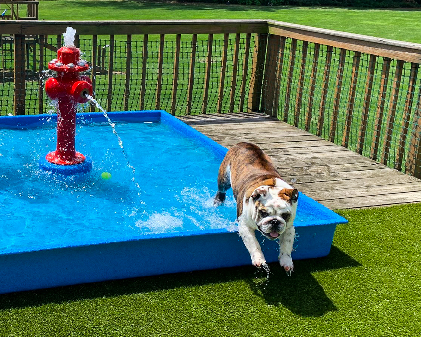 My Splash Pad Dog Wading Pool Water Play Features