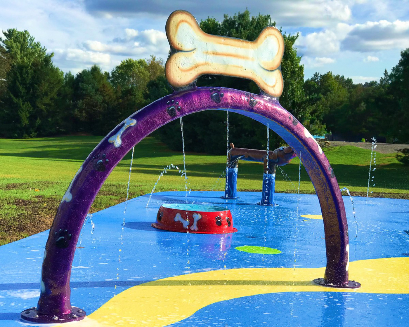 My Splash Pad Doggy Wash Water Play Features