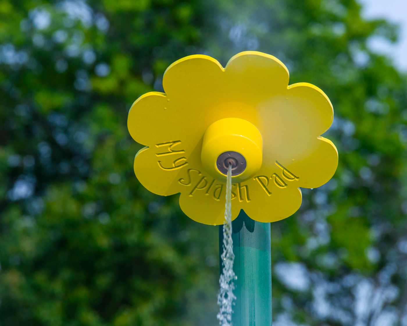 My Splash Pad Flower Shower Water Play Features