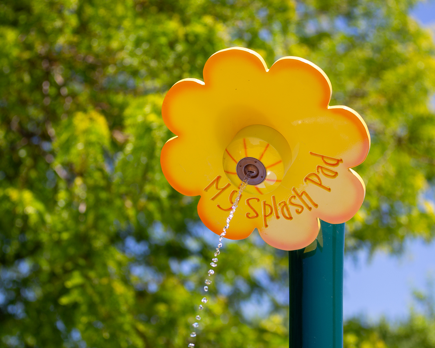 My Splash Pad Flower Shower Water Play Features
